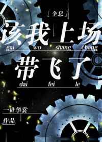 该我上场带飞了简介